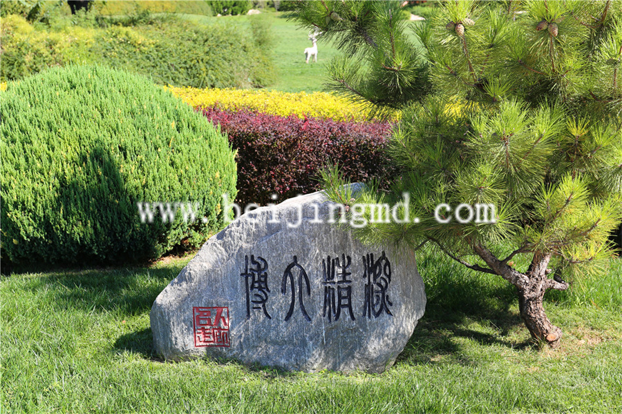 陵园绿化