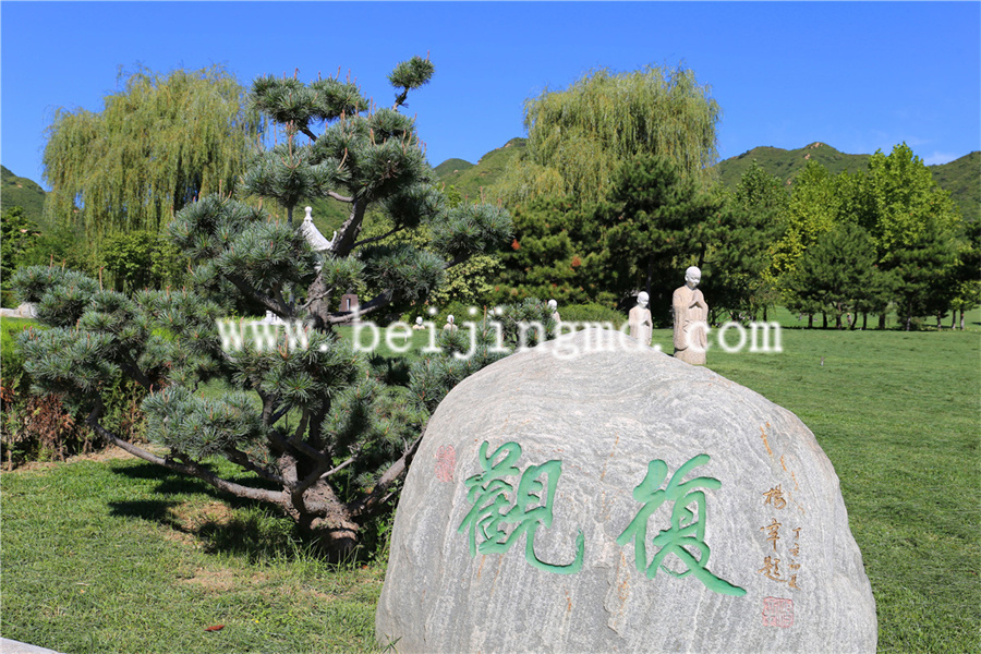陵园绿化