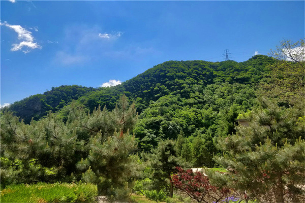 昌平佛山陵园怎么去