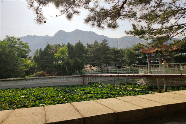 北京市朝阳区长青园一块墓地多少钱？