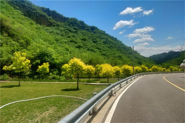 不进则退：殡葬改革面临巨大考验