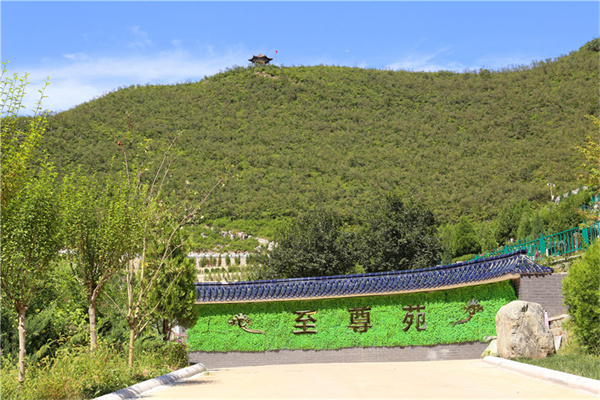 北京哪个陵园有树葬和花葬？北京花葬树葬价格多少？