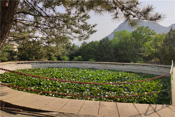北京八达岭附近陵园墓地有几家？北京八达岭陵园墓地价格贵吗？