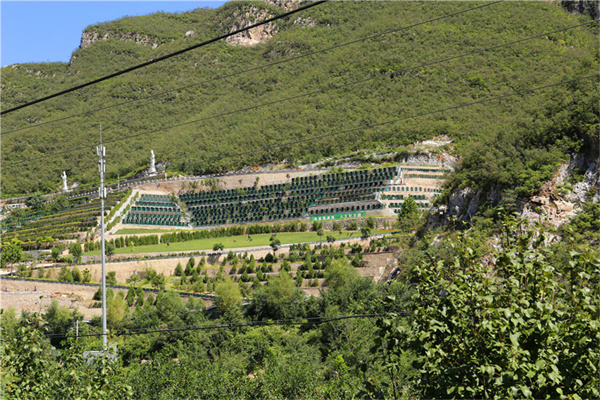 九里山公墓二区在哪里？导航能找到吗？