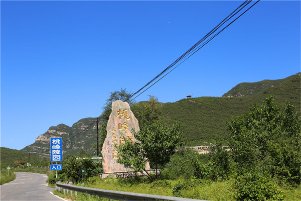 树葬收费吗？在北京如何申请免费树葬？