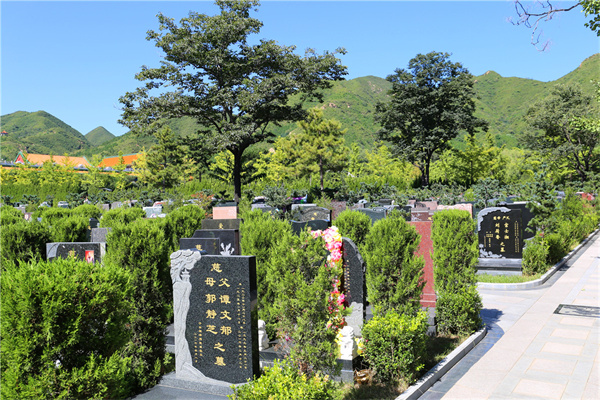 北京市朝阳区几个陵园,价格方面如何