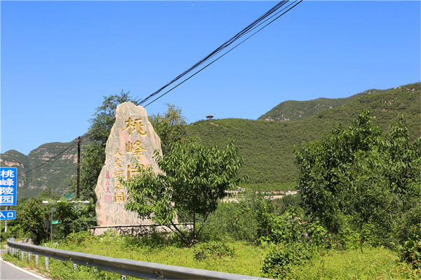 静安墓园七月十五怎样预约扫墓？扫墓预约电话是多少？