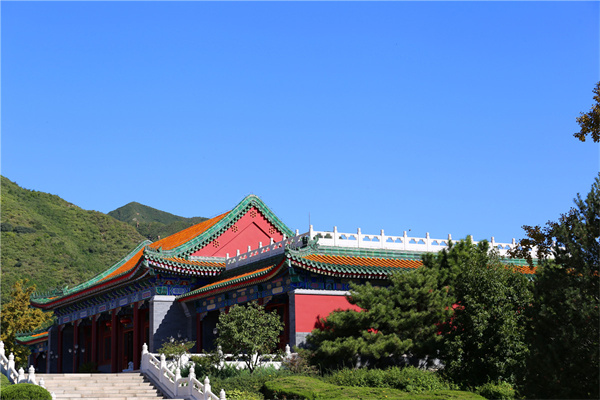 北京树葬怎么办理？北京树葬公墓哪里有？北京树葬需要多少钱？
