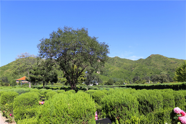 北京金山陵园电话多少地址在哪？现在能预约扫墓吗？