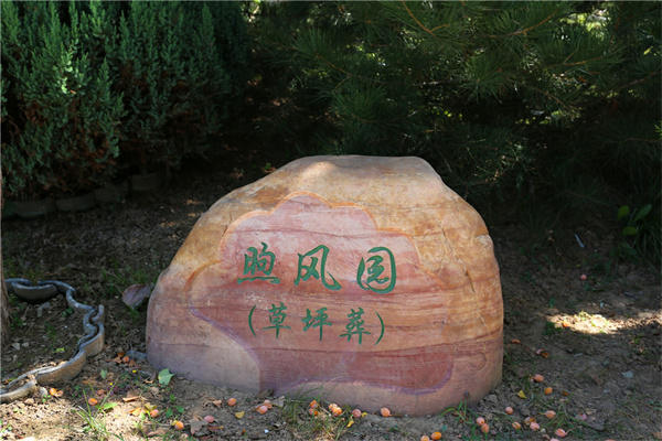 涿州合法墓地有哪些，具体什么情况