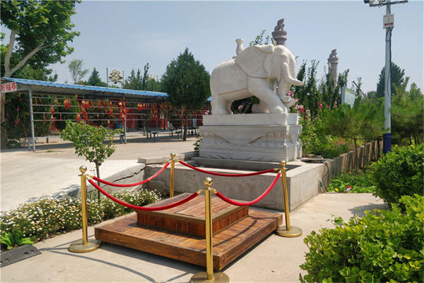 中华永久陵园公交车情况