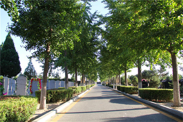 北京天寿陵园环境优越，规划合理，墓地优质