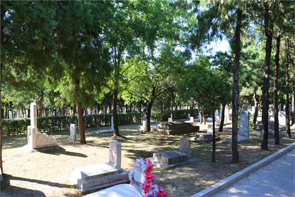 九公山陵园的树葬墓地特点是什么？