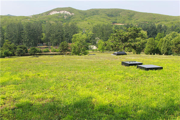 北京长青园陵园地址在哪？属于哪个街道？