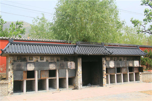 什么是树葬，九公山树葬介绍