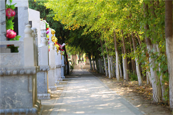 北京昌平墓地九里山公墓二区官网介绍及墓地价格行情详解