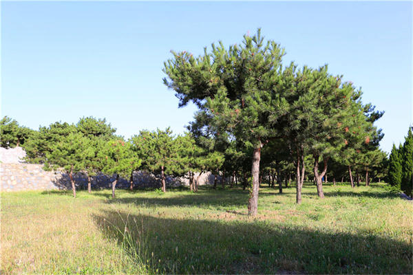 北京石景山墓地位置分布在哪里一般都是多少钱？