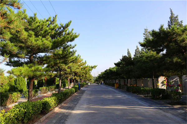 北京桃峰陵园墓地价格多少钱？北京桃峰园有5万元以下的墓地吗？