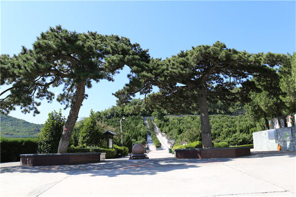 天津玉佛寺寝宫好还是涿州佛驿宫陵园墓地好？哪个价格更便宜些？