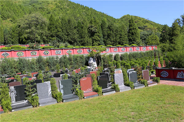 北京周边墓地中华永久陵园树葬价格是多少