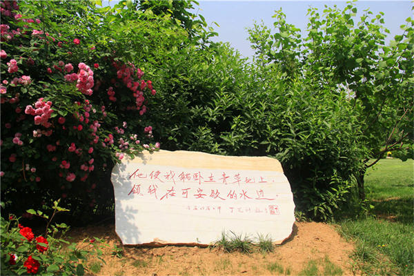 北京大兴天堂公墓是正规的树葬陵园吗？