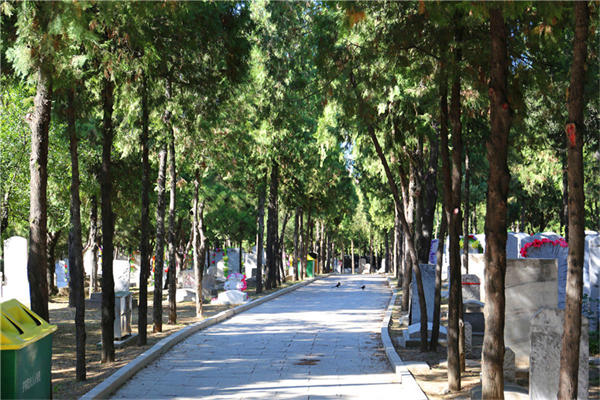 北京市昌平区上风上水好的陵园有哪些？哪个陵园有树葬？