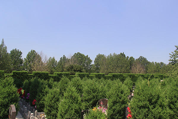 涿州天福园公墓树葬价格在多少钱？办事处电话多少？