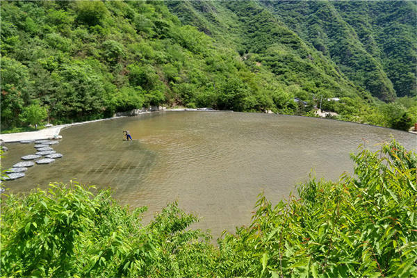 延庆区永宁陵园树葬墓地价格贵吗