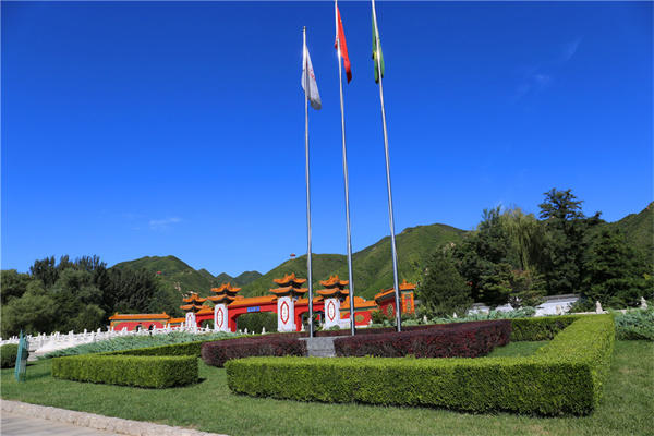 为陪伴在自己身边多年像孩子一样的宠物选墓地