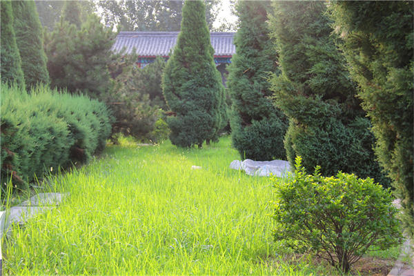 北京朝阳区陵园墓地价格表2023全攻略?北京朝阳区公墓陵园有哪些？