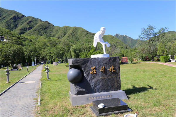 朝阳长青园骨灰林墓地价格多少钱？