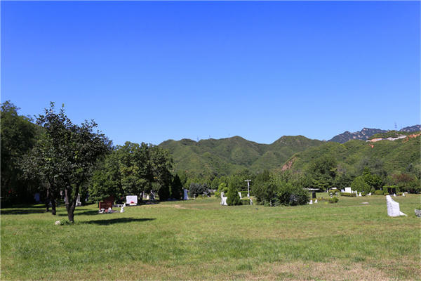 天津与霸州交界处的兰生园公墓交通方便、价格亲民、环境好