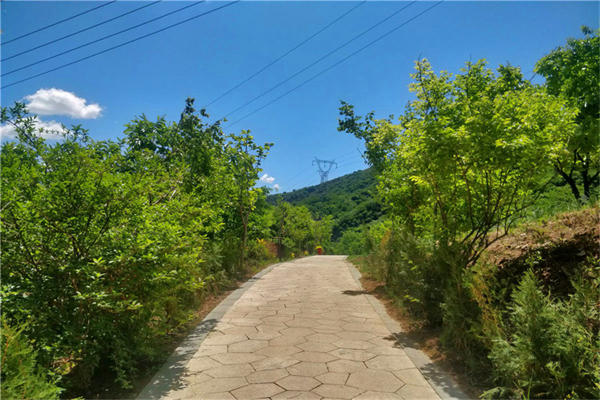 河北遵化清东陵万佛园墓地价格一览
