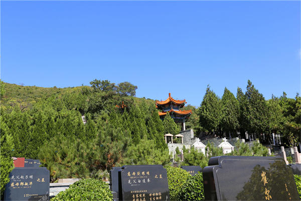 上海公布反诈预警有整治殡葬违法,法治为民办实事项目