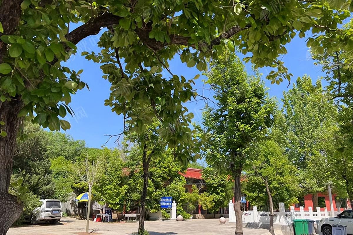 归山陵园实拍图