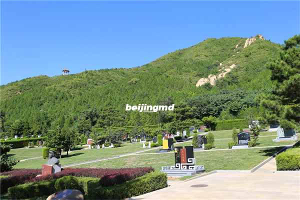 天寿陵园与九公山纪念林：北京两大优质墓园的特点解析