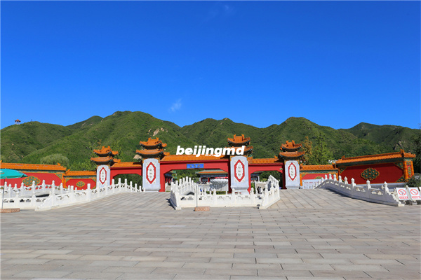 在农村推行“生态葬”的一点建议