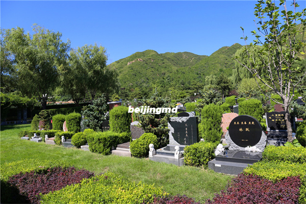 第40期全国公墓培训聚焦节地生态