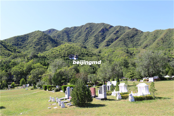 九龙山生态陵园墓地价格一览及陵园介绍