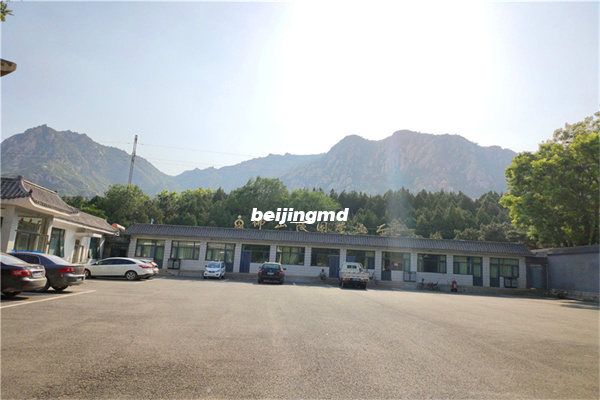 九公山长城纪念林树葬的保留时间是多长时间？