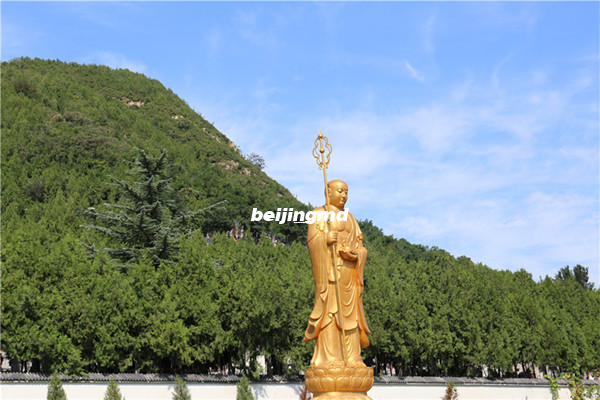 怎么买九公山陵园树葬墓地？