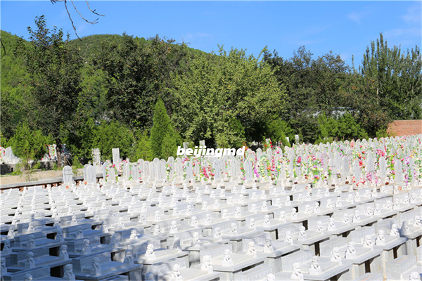 九公山长城纪念林地址及班车路线详情