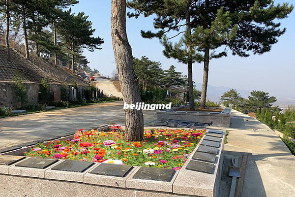 苍南县玉龙陵园入选省级节地生态安葬示范点