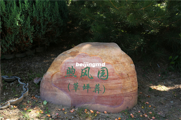 各省两会迸发最强音深化殡葬改革