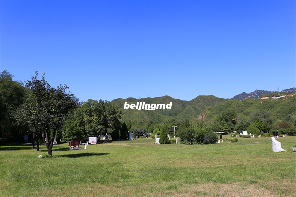 佛山陵园环境和价格怎么样？