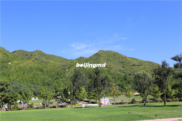 昌平区天寿山下的天寿陵园怎么样？价格是多少？