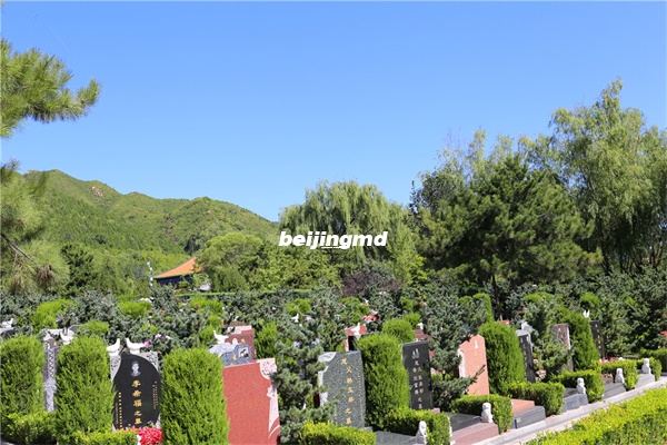 北京哪里有免费的树葬 选树葬也需要看风水吗？