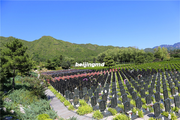 北京五环地墓地价格贵不贵？风水怎么样？