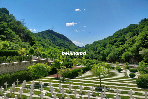 什么是树葬，九公山树葬介绍