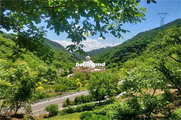乌鲁木齐市殡葬服务中心24小时殡葬服务短号